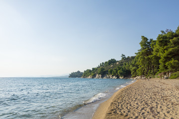 Blue sea water and sandy beach with trees.