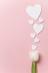 White flowers and hearts on a pastel pink background - obrazy, fototapety, plakaty
