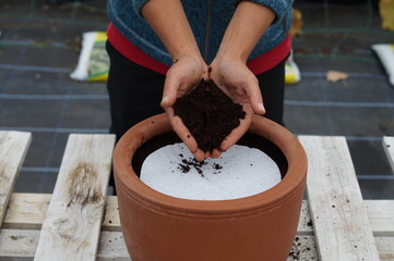 Seed mat instruction