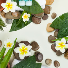 Fototapeta na wymiar Spa background with green leaves, stones, flowers and cosmetics on white