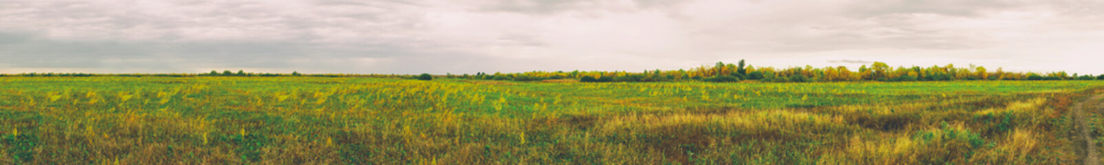 Fototapeta na wymiar Panorama of a large autumn meadow on cloudy day