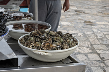 Puglia Cassette di pesce mercato dei pescatori di Gallipoli