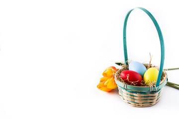 Colorful easter eggs in a basket and tulips isolated on white background. Copyspace