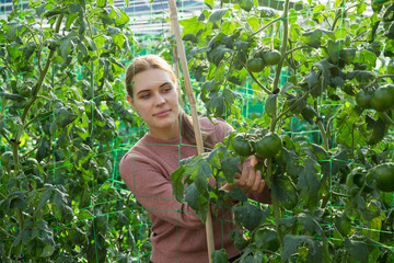 Woman supervising growth of tomato plants