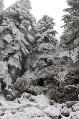Fototapeta na wymiar Paysage d'hiver du Pilat