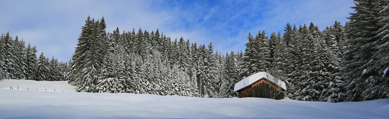 Hütte - Stadel - Allgäu - Winter - Alpe - Wald - Panorama