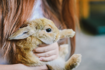 happy rabbit
