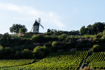 Panorama sur le moulin de Santenay, Bourgogne, France © PicsArt