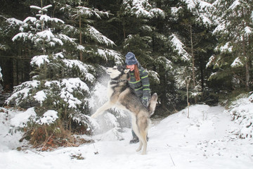 Husky dog runs in the woods with a girl. Play in the snow. Winter fun with a pet