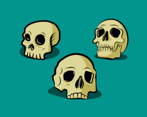 3 Skulls vector