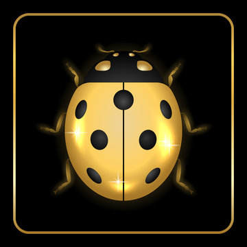 Ladybug gold insect small icon. Golden metal lady bug animal sign, isolated on black background. 3d volume bright design. Cute shiny jewelry ladybird. Lady bird closeup beetle Vector illustration