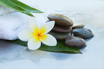 Spa background with green leaves, flowers and towel on white