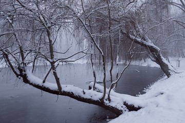 Polska, Gdańsk - zimowy Park Oruński © Iwona