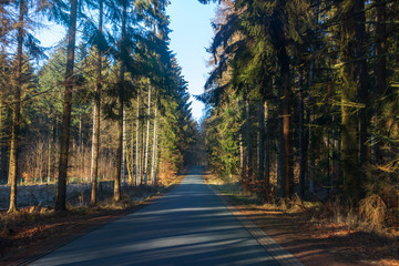 Obraz premium Landroad in Germany - Langgöns