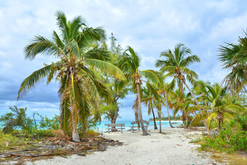 Paradise beach on the island, Bahamas