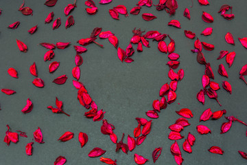 Heart Shaped Rose petals in Black Background