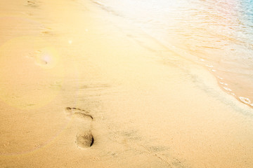 Fototapeta na wymiar Beautiful footprints on the beach in nature by the sea