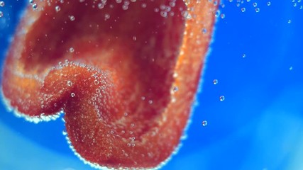 red pepper in water - Powered by Adobe