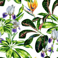 Seamless watercolor tropical pattern with green schefflera arboricola plant  and iris flowers, croton leaves and strelitzia. Bird of paradise flower wallpaper. Crane flower and dwarf umbrella tree.