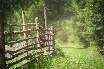 Rustic fence and alley with green grass and sunlight