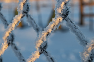 Lone wire fencing amidst the frost and white snowfall beneath bright skies