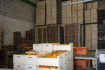 View of harvest ready for storage © JackF