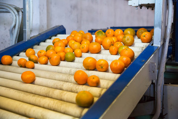 View of harvest ready for storage © JackF