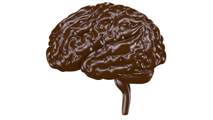 Chocolate brain