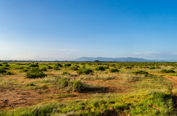 Fototapeta premium View of the trails and savannah