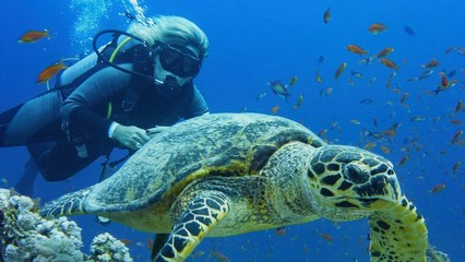 Woman scuba diver and hawksbill turtle
