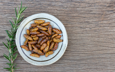 worm insects or Chrysalis Silkworm in a ceramic plate on wood table. The concept of protein food sources from insects. It is a good source of protein, vitamin, and fiber.