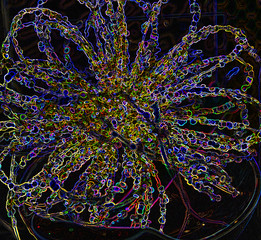 Flower in Neon Light