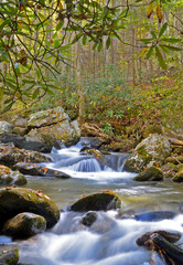 Obraz premium Small stream in the Smokies surrounded with fall leaves.