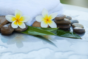 Fototapeta na wymiar Two tropical flowers and stones with leaves for massage spa concept