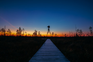 Naklejka na ściany i meble Autumn Sunrise Landscape With Marsh During Sunset. Camera On A Tripod Stands On A Eco Wooden Board Boarding Path Way Trail Path Way Walkway. Dark Trees Silhouettes Against A Colorful Sunset Sky