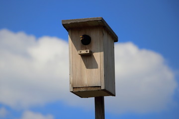 Wooden birdhouse on a blue sky background.