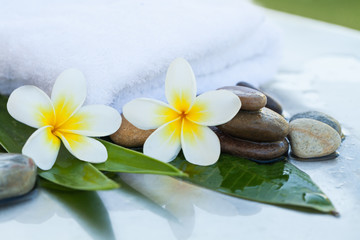 Fototapeta na wymiar Beautiful tropical flowers, towel and stones