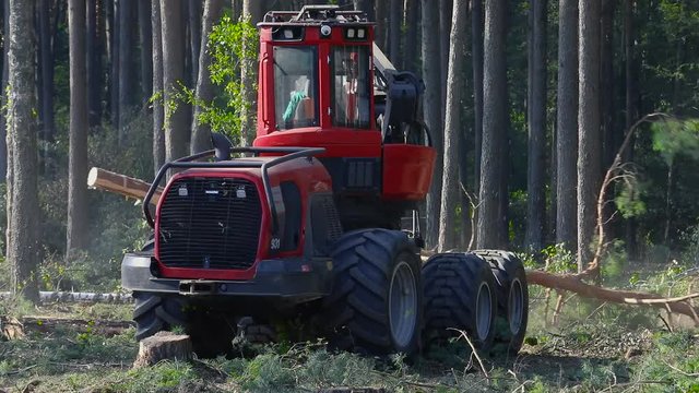 A cut-to-length (CTL) forest harvester. Pine Forest Harvesting Machine. Logging Equipment. The forestry industry. The harvester lumberjack working in a forest. Forest Wheeled Harvesters.