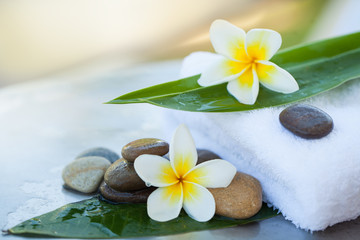 Fototapeta na wymiar Flower and leaves on the white towel for treatment