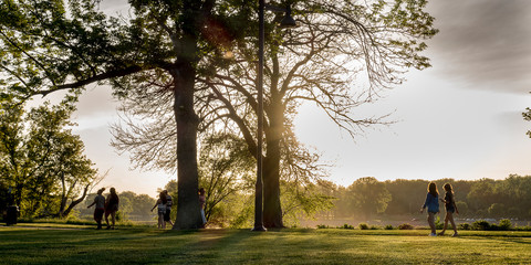 A beautiful afternoon in the park