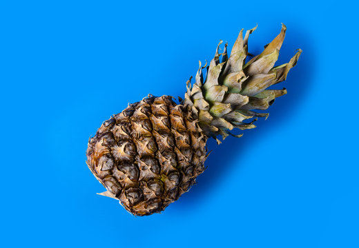 Pineapple fruit on blue background, top view