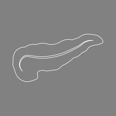 Vector isolated illustration of pancreas anatomy. Contour of the pancreas on a gray background. Medical illustration
