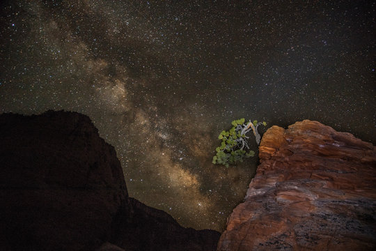 Zion Milky Way