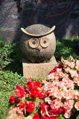 Die Eule der Weisheit