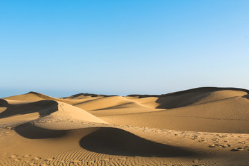 Fototapeta na wymiar Wandering sand dunes in the hot desert casting long shadows during sunset (Dunas de Maspalomas, Gran Canaria, Spain, Europe)