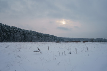 Fototapeta premium The beauty of russian snowy cloudy cold winter