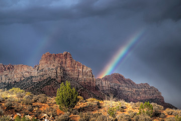 Zion Rainbow