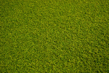 Fototapeta Sztuczna trawa, murawa na siłowni obraz