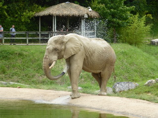 zoo 18