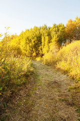 Autumn landscape